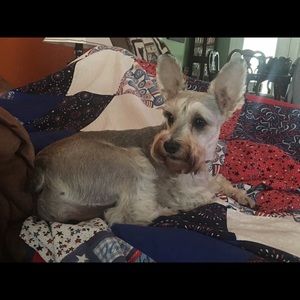 Meet your Posher, Jamie